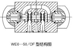 WE6ʪʽŻ