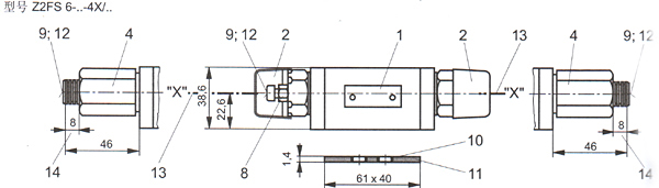 Z2FS6ʽ˫